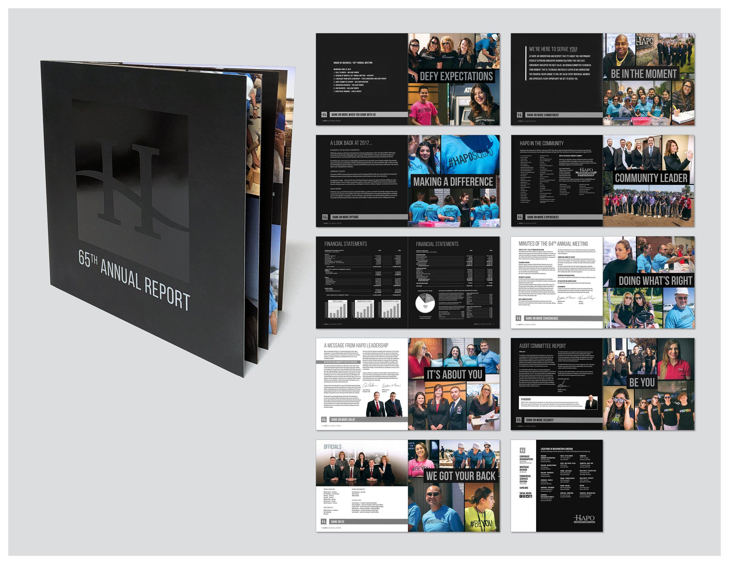 HAPO 65th annual report